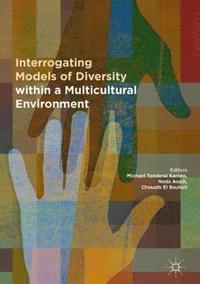 bokomslag Interrogating Models of Diversity within a Multicultural Environment