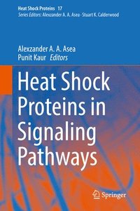 bokomslag Heat Shock Proteins in Signaling Pathways