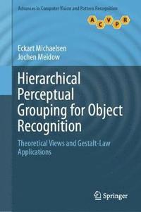 bokomslag Hierarchical Perceptual Grouping for Object Recognition