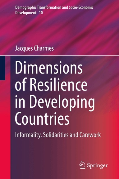 Jacques Charmes - Dimensions of Resilience in Developing Countries, Inbunden