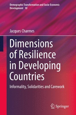 Jacques Charmes - Dimensions of Resilience in Developing Countries, Inbunden