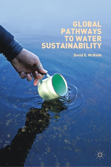 bokomslag Global Pathways to Water Sustainability