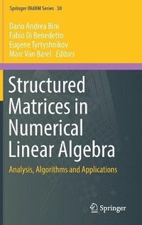 bokomslag Structured Matrices in Numerical Linear Algebra