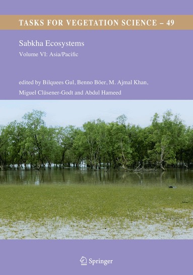 Bilquees Gul, Benno Böer, M. Ajmal Khan, Miguel Clüsener-Godt, Abdul Hameed - Sabkha Ecosystems, Inbunden