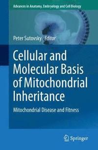 bokomslag Cellular and Molecular Basis of Mitochondrial Inheritance