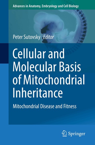 Peter Sutovsky - Cellular and Molecular Basis of Mitochondrial Inheritance, Häftad