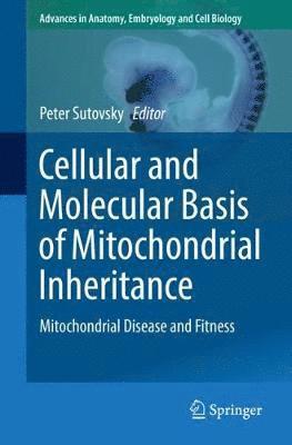 Cellular and Molecular Basis of Mitochondrial Inheritance 1