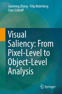 bokomslag Visual Saliency: From Pixel-Level to Object-Level Analysis