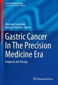 bokomslag Gastric Cancer In The Precision Medicine Era