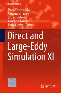 bokomslag Direct and Large-Eddy Simulation XI