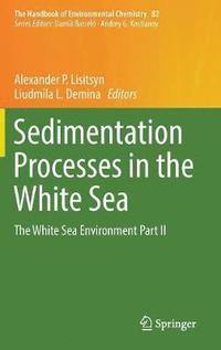 bokomslag Sedimentation Processes in the White Sea