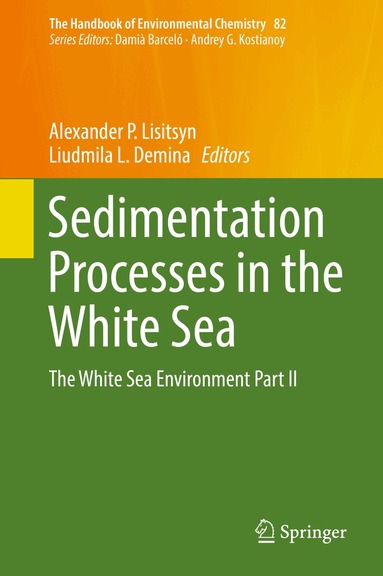 Alexander P. Lisitsyn, Liudmila L. Demina - Sedimentation Processes in the White Sea, Inbunden