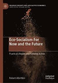 bokomslag Eco-Socialism For Now and the Future