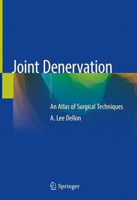 bokomslag Joint Denervation