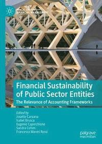 bokomslag Financial Sustainability of Public Sector Entities