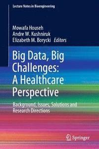 bokomslag Big Data, Big Challenges: A Healthcare Perspective