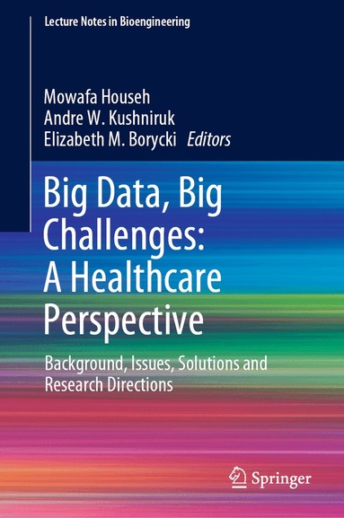 Mowafa Househ, Andre W. Kushniruk, Elizabeth M. Borycki - Big Data, Big Challenges: A Healthcare Perspective, Inbunden