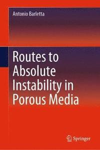 bokomslag Routes to Absolute Instability in Porous Media