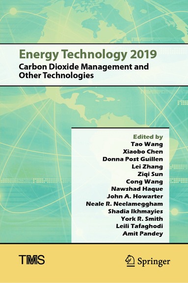 Tao Wang, Xiaobo Chen, Donna Post Guillen, Lei Zhang, Ziqi Sun, Cong Wang, Nawshad Haque, John A. Howarter, Neale R Neelameggham, Shadia Ikhmayies, York R. Smith, L Tafaghodi, Amit Pandey - Energy Technology 2019, Inbunden