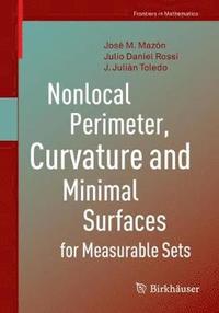 bokomslag Nonlocal Perimeter, Curvature and Minimal Surfaces for Measurable Sets