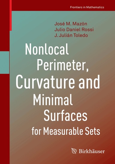 José M. Mazón, Julio Daniel Rossi, J. Julián Toledo - Nonlocal Perimeter, Curvature and Minimal Surfaces for Measurable Sets, Häftad