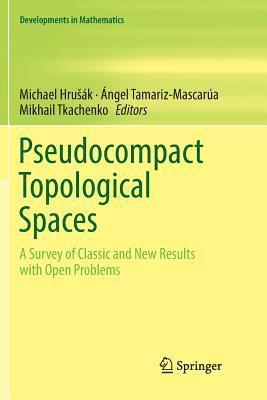 Pseudocompact Topological Spaces 1