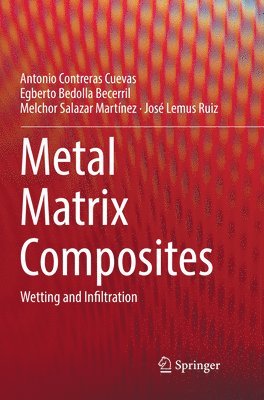 Antonio Contreras Cuevas, Egberto Bedolla Becerril, Melchor Salazar Martínez, José Lemus Ruiz - Metal Matrix Composites, Häftad