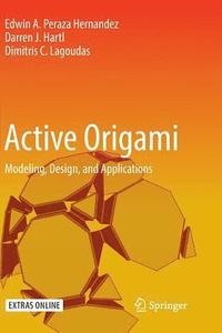 bokomslag Active Origami