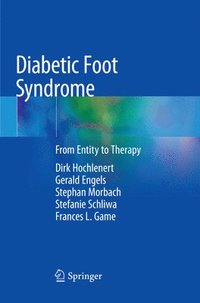 bokomslag Diabetic Foot Syndrome