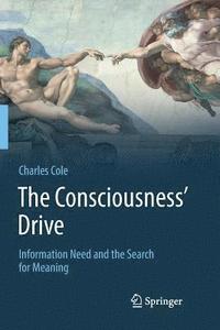 bokomslag The Consciousness Drive