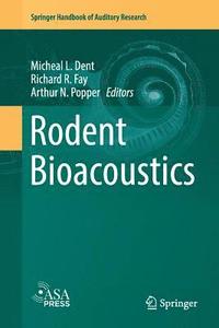 bokomslag Rodent Bioacoustics