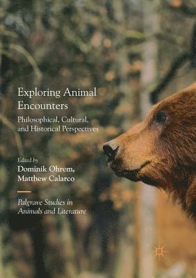 Exploring Animal Encounters 1