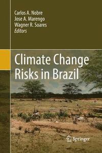 bokomslag Climate Change Risks in Brazil