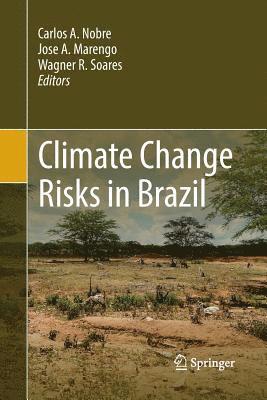 bokomslag Climate Change Risks in Brazil