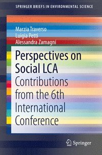bokomslag Perspectives on Social LCA