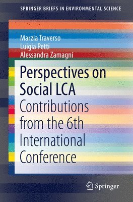 Perspectives on Social LCA 1