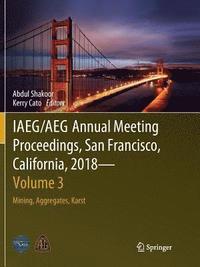 bokomslag IAEG/AEG Annual Meeting Proceedings, San Francisco, California, 2018 - Volume 3