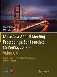 bokomslag IAEG/AEG Annual Meeting Proceedings, San Francisco, California, 2018 - Volume 4
