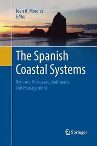 bokomslag The Spanish Coastal Systems