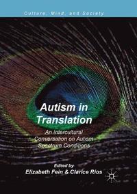 bokomslag Autism in Translation