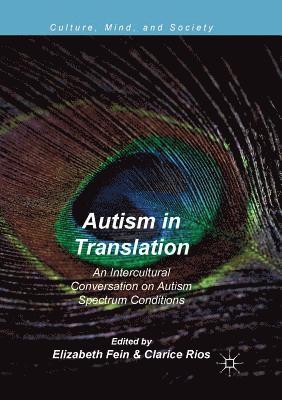 bokomslag Autism in Translation