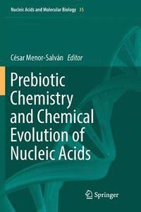 bokomslag Prebiotic Chemistry and Chemical Evolution of Nucleic Acids