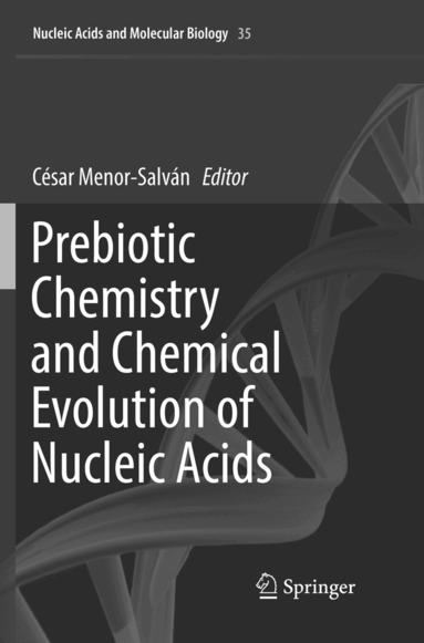 César Menor-Salván - Prebiotic Chemistry and Chemical Evolution of Nucleic Acids, Häftad