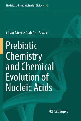 bokomslag Prebiotic Chemistry and Chemical Evolution of Nucleic Acids