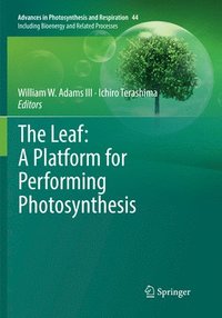 bokomslag The Leaf: A Platform for Performing Photosynthesis