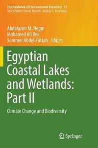 bokomslag Egyptian Coastal Lakes and Wetlands: Part II