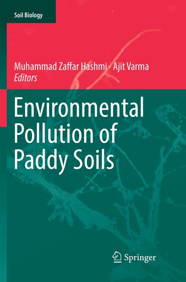 Muhammad Zaffar Hashmi, Ajit Varma - Environmental Pollution of Paddy Soils, Häftad