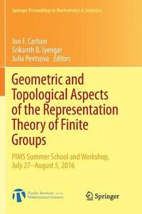 bokomslag Geometric and Topological Aspects of the Representation Theory of Finite Groups