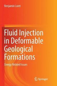 bokomslag Fluid Injection in Deformable Geological Formations