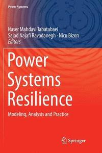 bokomslag Power Systems Resilience